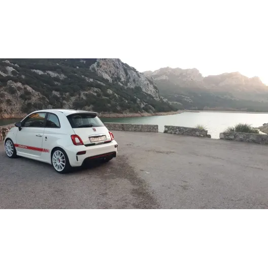 Tricolor bands MR Motorsport trunk