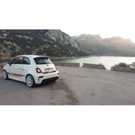 Tricolor bands MR Motorsport trunk