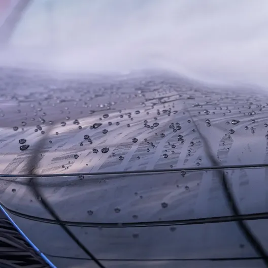 Black & Wrap Shampoo MaFra