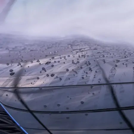 Black & Wrap Shampoo MaFra