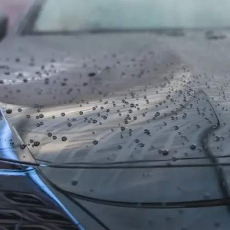 Black & Wrap Shampoo MaFra Auto Pellicolate - PPF - OPACO