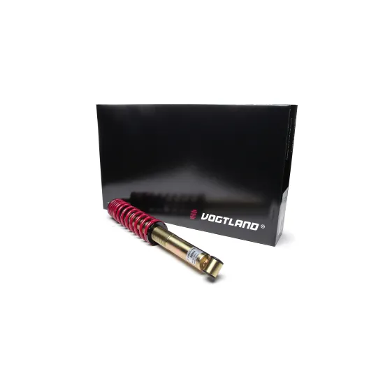 Vogtland 500 Abarth Set-up with adjustable ring gear