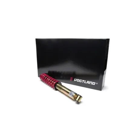 Vogtland 500 Abarth Set-up with adjustable ring gear