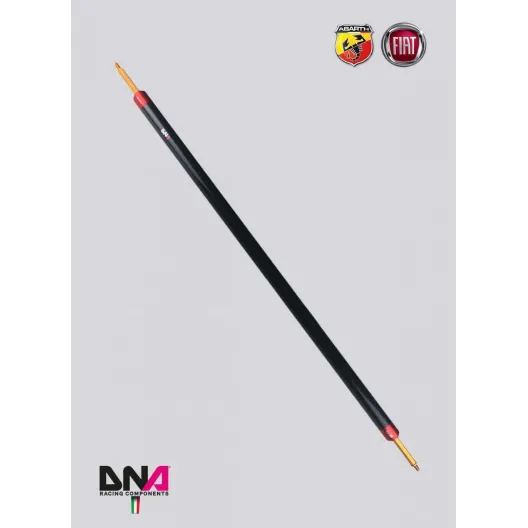 DNA Racing carbon rear strut bar without tie rods kit (4 seats) 500 Abarth