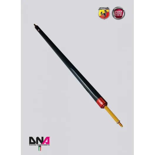 DNA Racing carbon rear strut bar without tie rods kit (4 seats) 500 Abarth