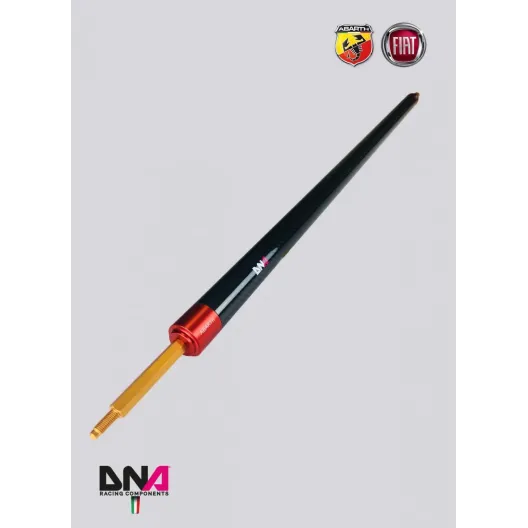 DNA Racing carbon rear strut bar without tie rods kit (4 seats) 500 Abarth