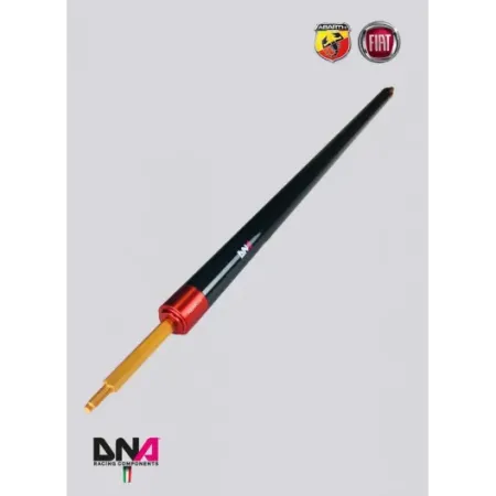Kit barra duomi posteriore in carbonio senza tiranti DNA Racing (4P) 500 Abarth