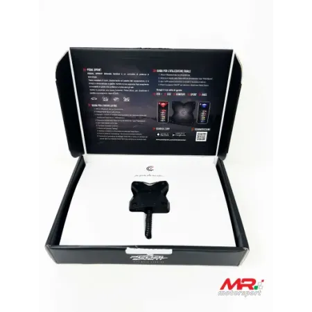 Pedal Sprint additional control unit and anti-theft device