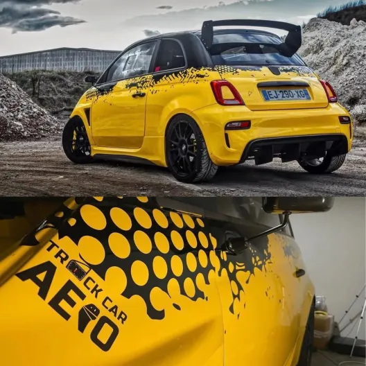 Track Car Aero wing/spoiler Abarth 500/595/695 (carbonfiber or fiberglass)