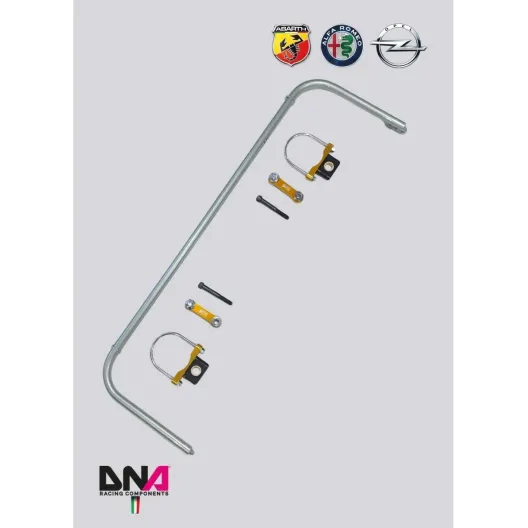 Kit barra antirollio posteriore DNA Racing PUNTO ABARTH