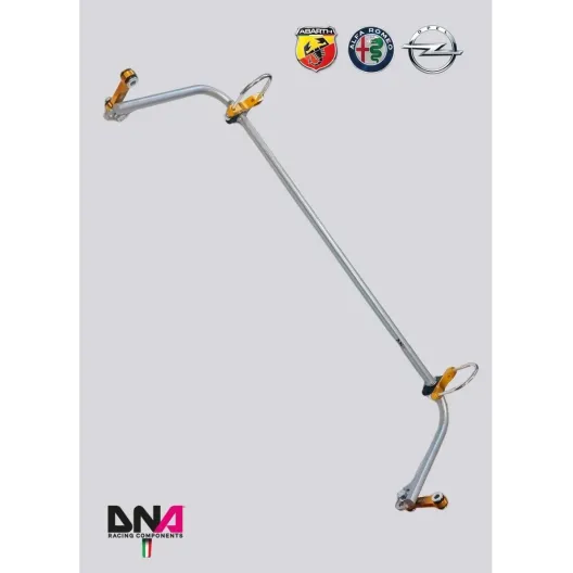 Kit barra antirollio posteriore DNA Racing PUNTO ABARTH