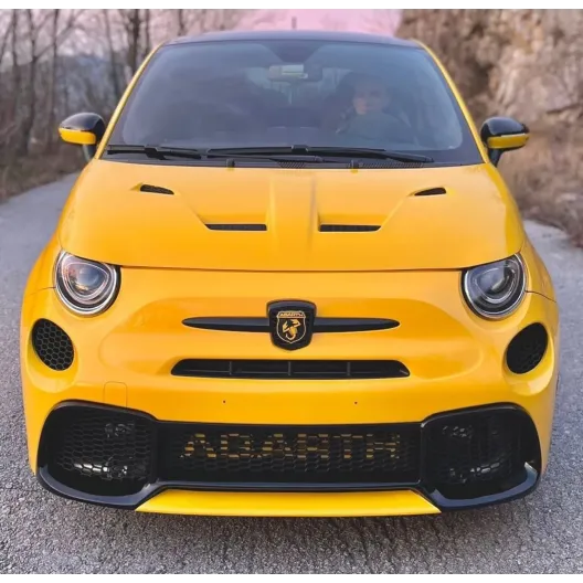 Daytime elimination grids 500 abarth