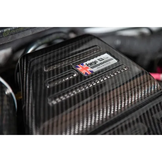 Forge Motorsport carbon engine cover Abarth 500/595/695 (for direct intake kit "FMINDF500")
