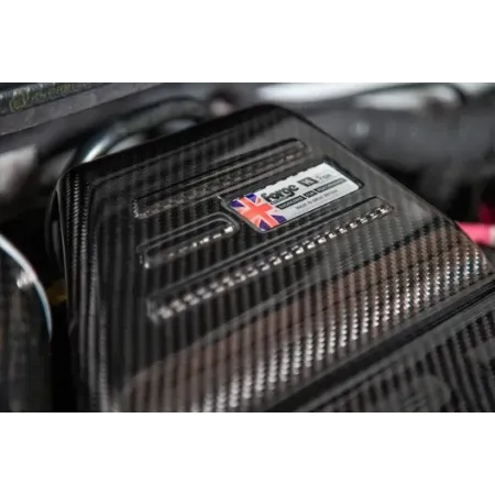 Forge Motorsport cover motore in carbonio Abarth 500/595/695 (per kit aspirazione diretta "FMINDF500")