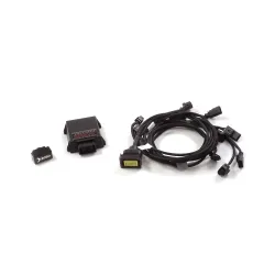 Seletron XPF emulator for Ragazzon Audi RS3 8Y downpipe (engine code "DNW")