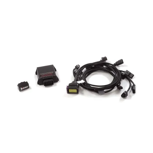 Seletron XPF emulatore per downpipe Ragazzon Audi RS3 8Y (codice motore "DNW")