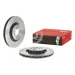 Pair of 330 mm discs for Brembo MINI R50-53-56 SMOOTH system