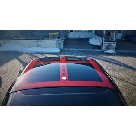 ROOF TRIM KIT 500 | 595 ABARTH