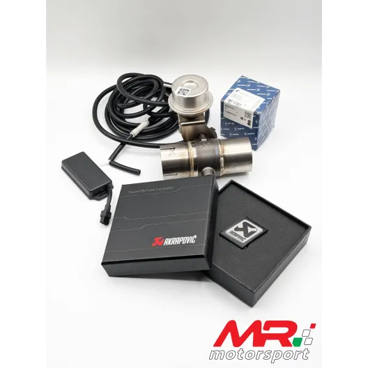 Terminal with silenced minipance 500 595 abarth with 120 MM CARBON tips