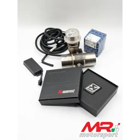 Terminal with silenced minipance 500 595 abarth with 120 MM CARBON tips