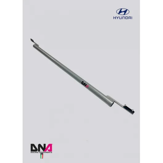 Rear strut bar no tie rods kit Hyundai I20 N DNA Racing