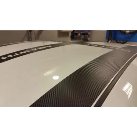 SUPER SPORT GPA ROOF KIT | EVO ABARTH