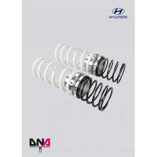 DNA Racing WRS shock absorber kit Hyundai I20 N