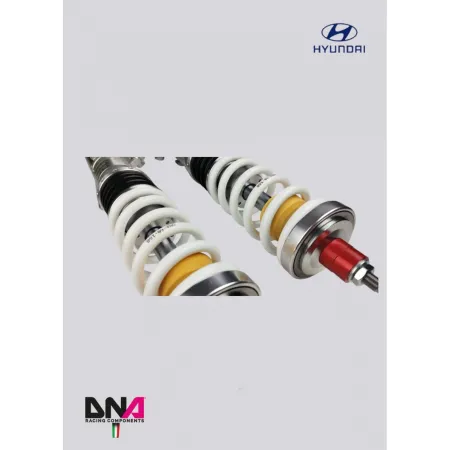 DNA Racing WRS shock absorber kit Hyundai I20 N