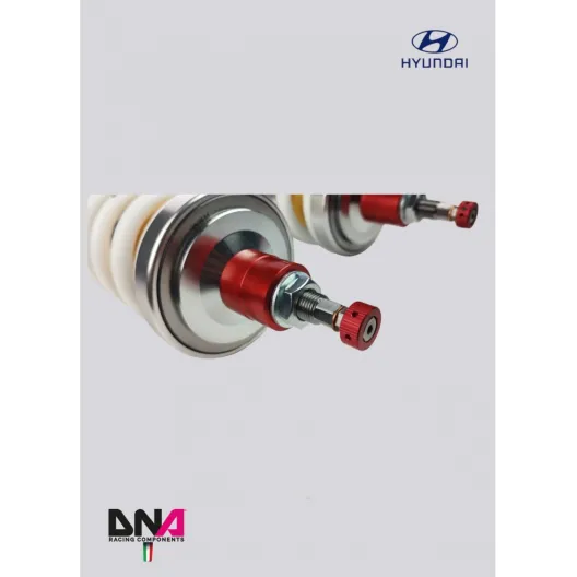 DNA Racing WRS shock absorber kit Hyundai I20 N