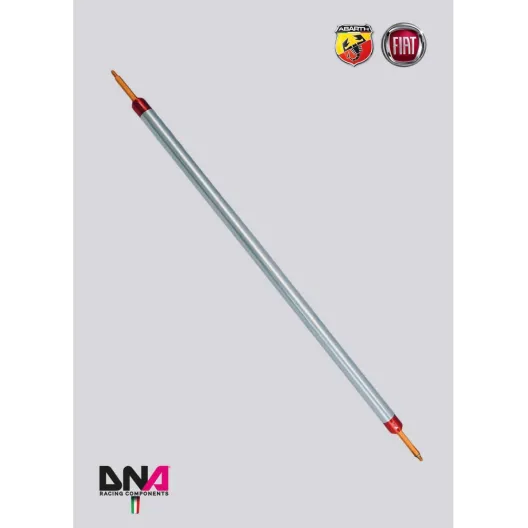 DNA Racing 500 Abarth 4-seater rear strut bar kit without tie rods