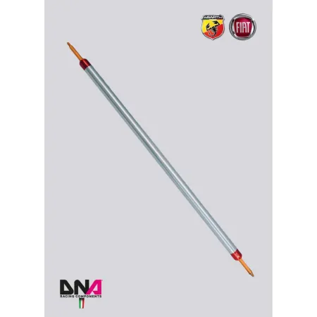 DNA Racing 500 Abarth 4-seater rear strut bar kit without tie rods