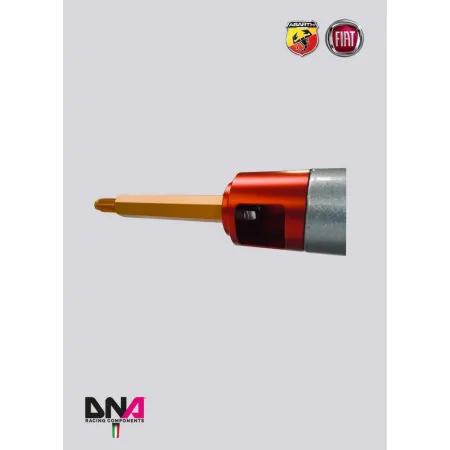 DNA Racing 500 Abarth 4-seater rear strut bar kit without tie rods