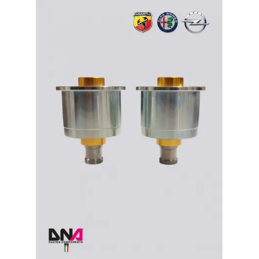 Kit uniball ponte posteriore DNA Racing Grande Punto Mito