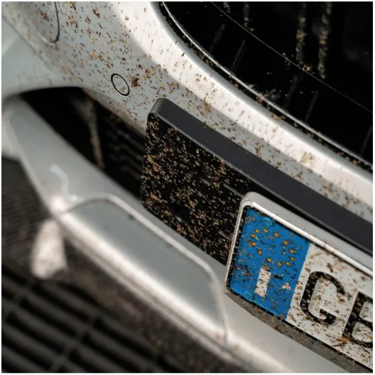 INSECT REMOVER MaFra Maniac Line