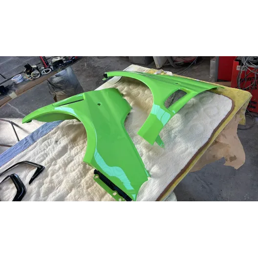 Parafanghi ant.Dx e Sx mod. RS 500 ABARTH