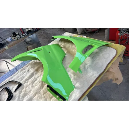 Parafanghi ant.Dx e Sx mod. RS 500 ABARTH